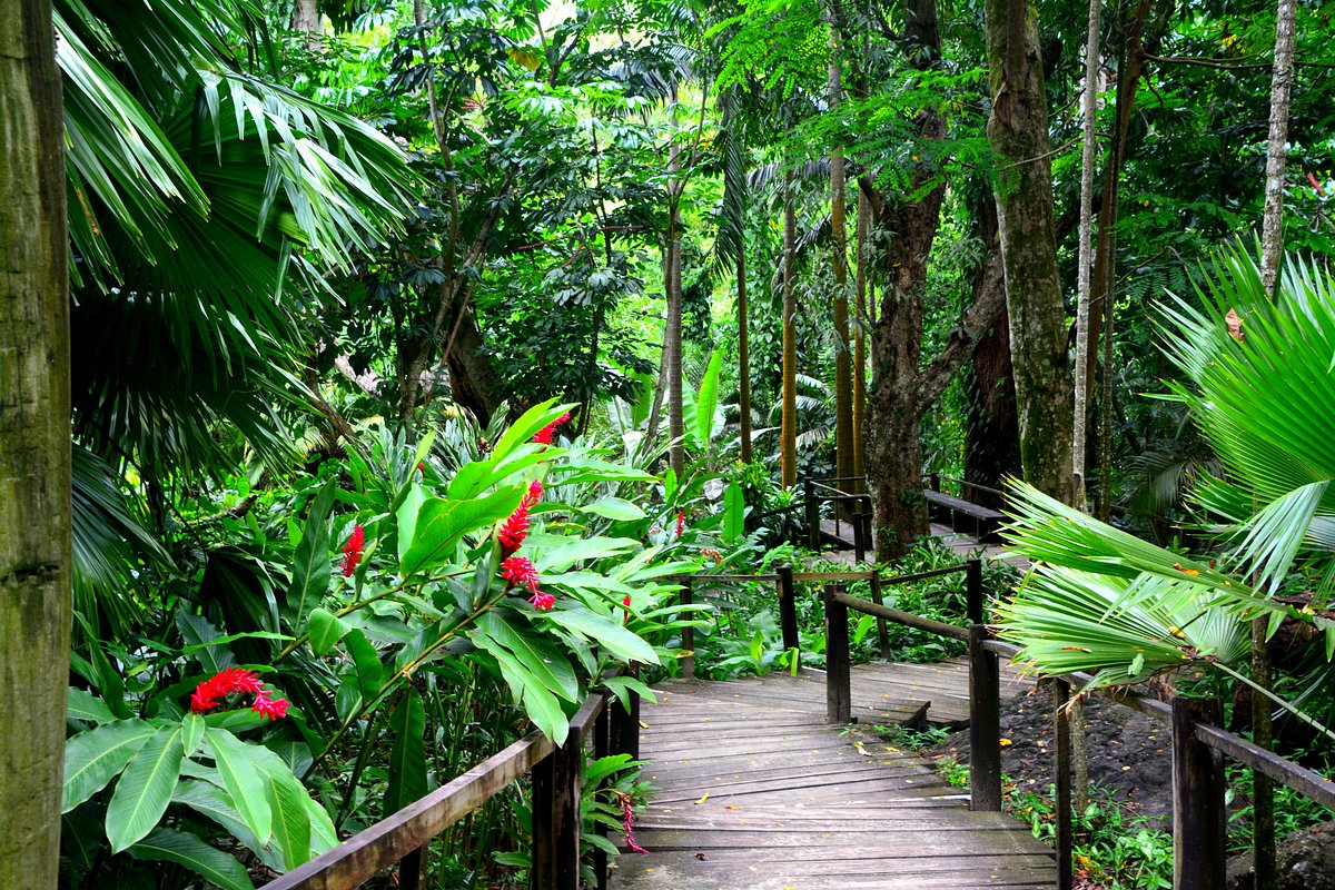 nature-view nature-view